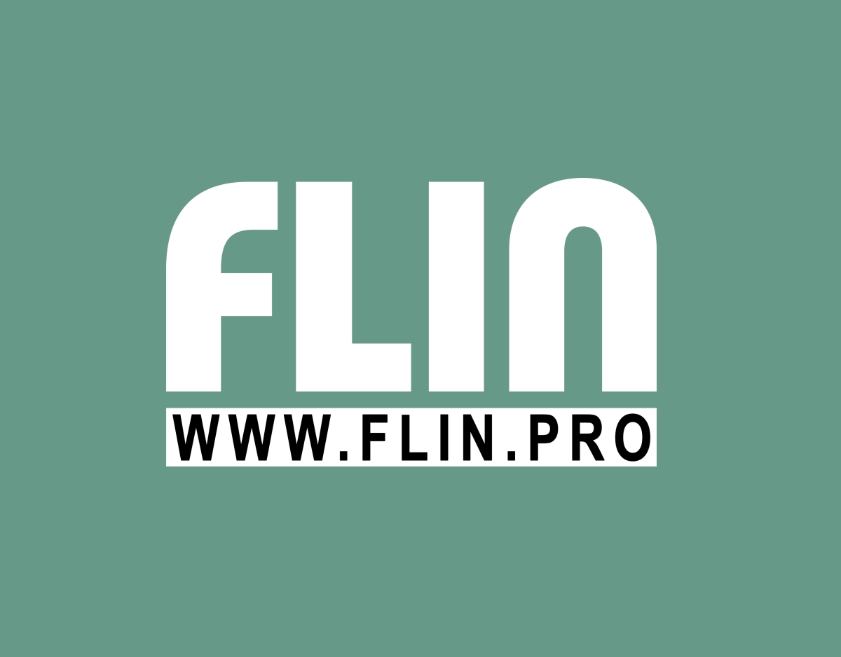 FLIN.pro - Flin y Asociados